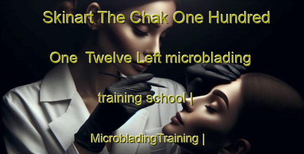 Skinart The Chak One Hundred One  Twelve Left microblading training school | MicrobladingTraining | MicrobladingClasses | SkinartTraining-Pakistan